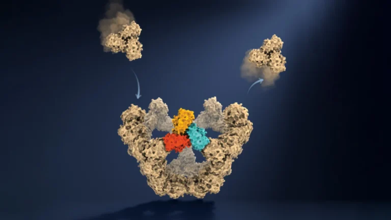 The Architecture of Infection: Oxford Researchers Unveil the Secret Rules of Viral Self-Assembly