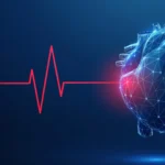 The Asymmetric Heart: How Exercise Remodels the Nervous System’s "Dimmer Switch"