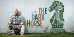 The Cinematic Lens on Bipolar Disorder: How Nonfiction Film Shapes Our Understanding of Mental Health