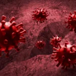 The Double-Edged Sword: New Research Reveals How Common Anti-Inflammatory Drugs May Compromise Viral Defenses