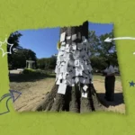The Fallen Sentinel of Dupont Circle: How a Fallen Oak Rooted a Community in Shared Grief and Mental Wellness