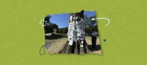 The Fallen Sentinel of Dupont Circle: How a Fallen Oak Rooted a Community in Shared Grief and Mental Wellness