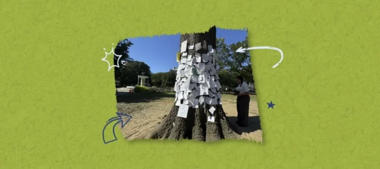 The Fallen Sentinel of Dupont Circle: How a Fallen Oak Rooted a Community in Shared Grief and Mental Wellness