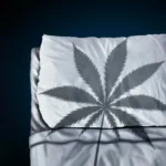 The Hidden Cost of Rest: New Research Challenges the Safety of CBN Sleep Supplements