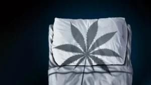 The Hidden Cost of Rest: New Research Challenges the Safety of CBN Sleep Supplements