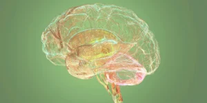 The New Frontier of Bipolar Stability: Assessing Emerging and Rapid-Acting Therapies