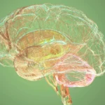 The New Frontier of Bipolar Stability: Navigating Emerging Therapies and Clinical Innovations
