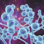 The Silent Pandemic: CDC Warns of Escalating Antimicrobial Resistance Crisis