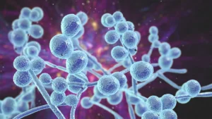 The Silent Pandemic: CDC Warns of Escalating Antimicrobial Resistance Crisis