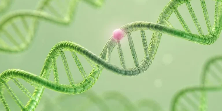 Unlocking the Biological Blueprint: The Genetic and Epigenetic Architecture of Bipolar Disorder